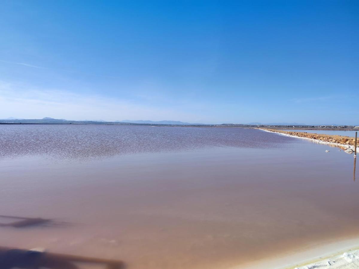 Casa Martita Leilighet Torrevieja Eksteriør bilde